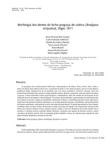 Morfologia dos dentes do bicho-preguiça de coleira ... - Biotemas