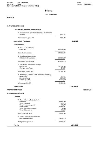 Ausdrucksammlung WINLine FIBU - Working-system.de