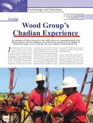 Wood Group's Chadian Experience