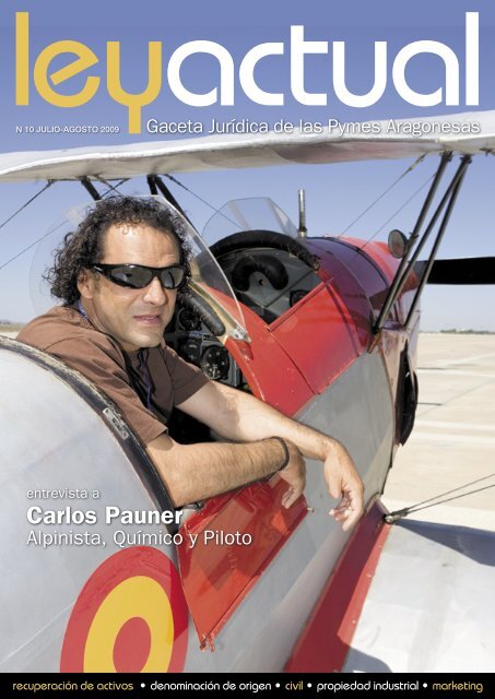 Carlos Pauner Ley Actual