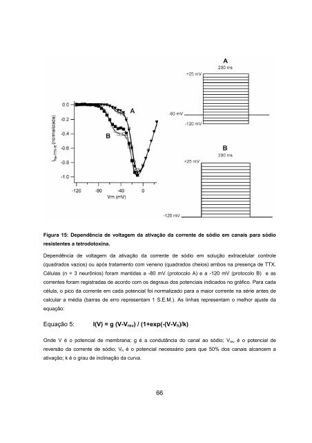 i Éder Ricardo de Moraes Efeito diferencial do veneno do escorpião ...