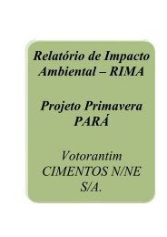 Relatório de Impacto Ambiental – RIMA Projeto Primavera PARÁ ...