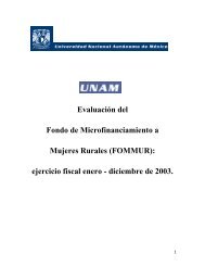 Universidad Autónoma de México (UNAM - Pronafim