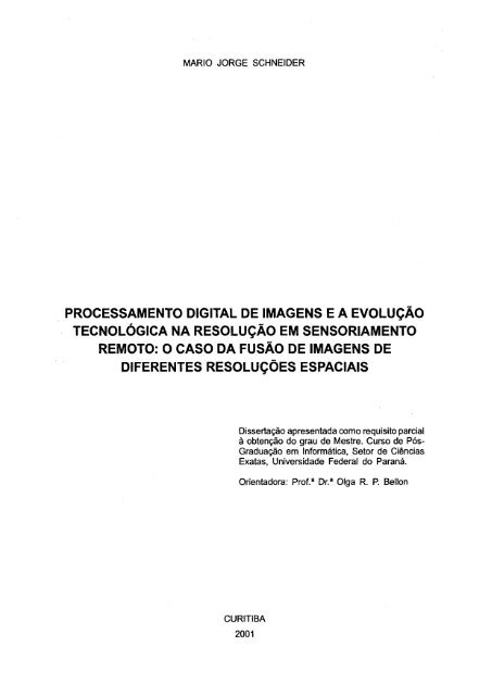 D - SCHNEIDER, MARIO JORGE.pdf - Universidade Federal do ...