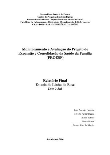 Relatório Final - UFPel - Departamento de Medicina Social ...