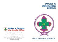 Manual de Condecoraciones - Guías y Scouts de Costa Rica