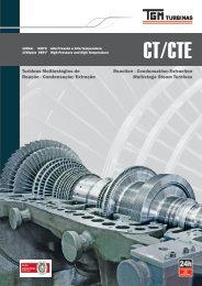 Reaction - Condensation/Extraction Multistage Steam ... - TGM