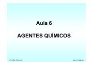 Aula 6 AGENTES QUÍMICOS - SimuCAD