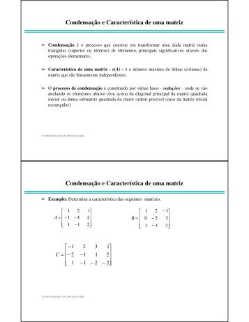 Condensação e Característica de uma matriz Condensação e ...