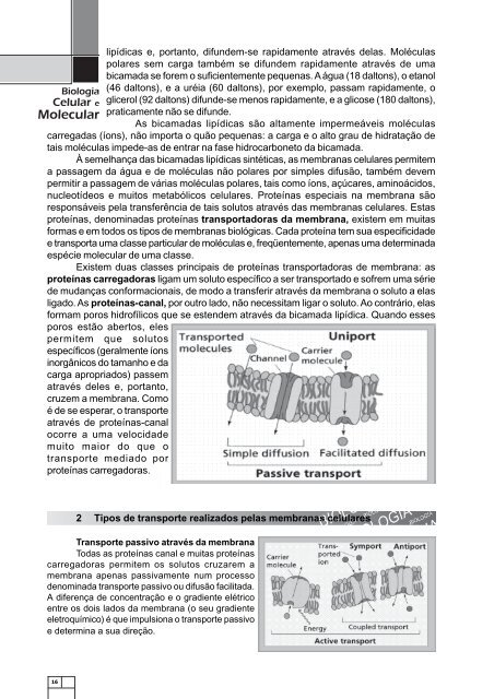 capas biologia celular e molecular - FTC EAD - FACULDADE