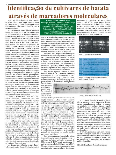 Arquivo PDF - Associação Brasileira da Batata (ABBA)