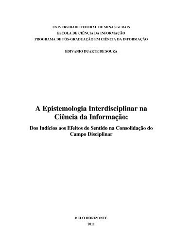 A Epistemologia Interdisciplinar na Ciência da Informação: