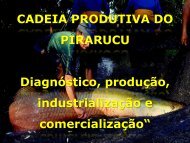 Cadeia Produtiva do Pirarucu na Amazônia - Suframa