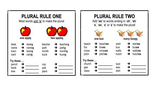 PLURAL RULE ONE PLURAL RULE TWO