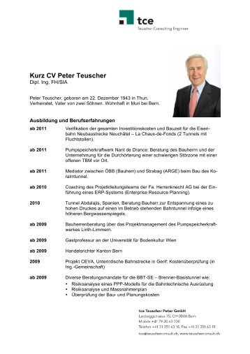 Kurz CV Peter Teuscher - tce – Teuscher Consulting Engineer