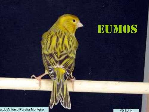 Eumos - Clube Sano