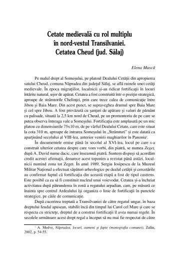 Cetate medievală cu rol multiplu în nord-vestul Transilvaniei ...