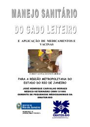 Manejo Sanitário do Gado Leiteiro (PDF)