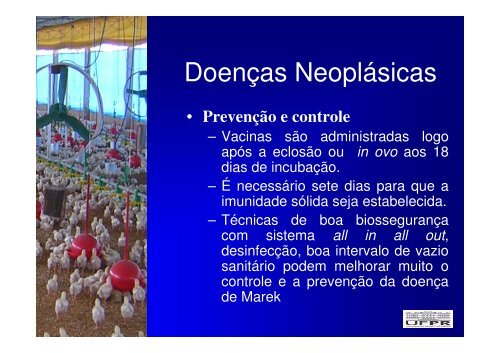 Enfermidades neoplásicas - Labmor.ufpr.br