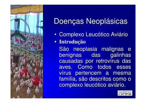 Enfermidades neoplásicas - Labmor.ufpr.br