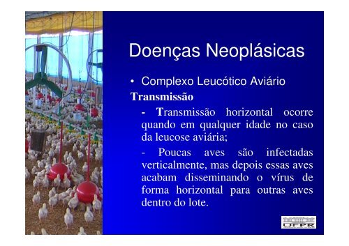 Enfermidades neoplásicas - Labmor.ufpr.br