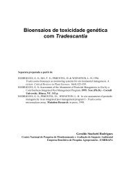 Mutagenicidade com plantas Geraldo S. Rodrigues.pdf