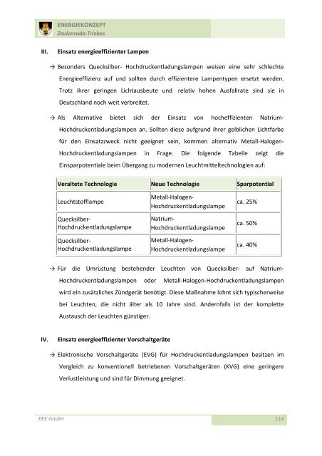 Energiekonzept Zeulenroda-Triebes EV