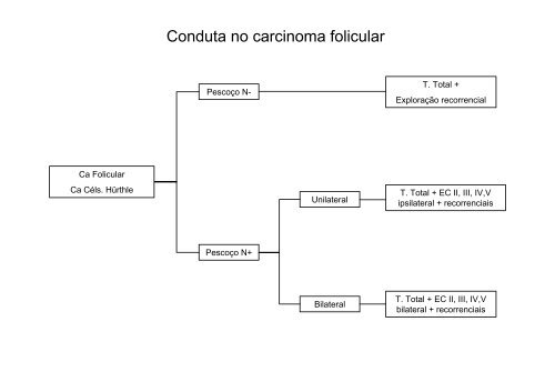 Faculdade de Ciências Médicas da Santa Casa de - Irmandade da ...