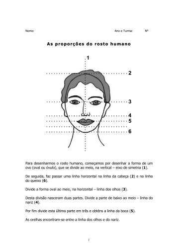 As proporções do rosto humano - Ensinar EVT