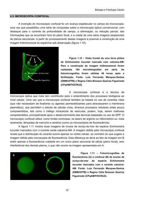 Biologia e Fisiologia Celular - UFPB Virtual - Universidade Federal ...