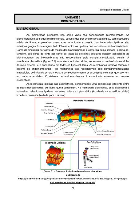 Biologia e Fisiologia Celular - UFPB Virtual - Universidade Federal ...