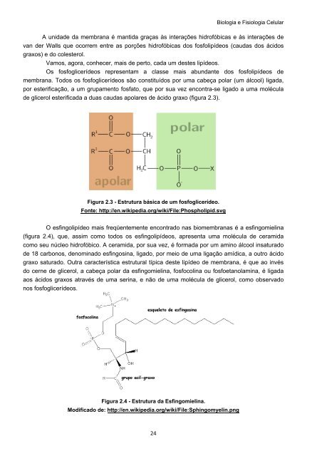 Biologia e Fisiologia Celular - UFPB Virtual - Universidade Federal ...