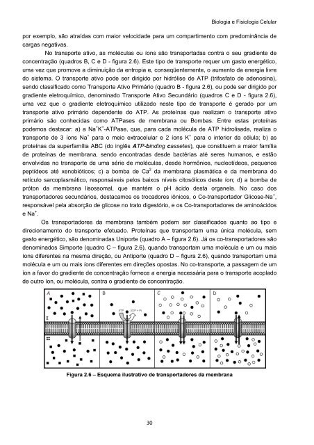 Biologia e Fisiologia Celular - UFPB Virtual - Universidade Federal ...