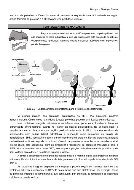 Biologia e Fisiologia Celular - UFPB Virtual - Universidade Federal ...