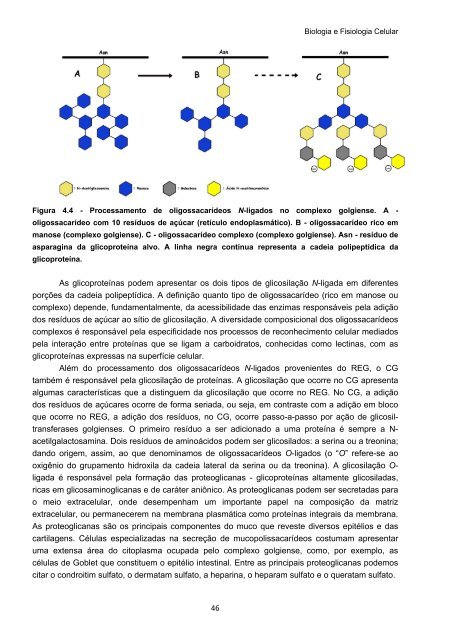 Biologia e Fisiologia Celular - UFPB Virtual - Universidade Federal ...