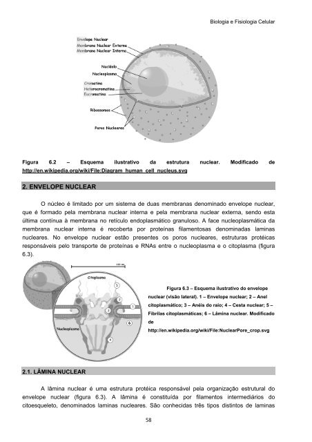 Biologia e Fisiologia Celular - UFPB Virtual - Universidade Federal ...