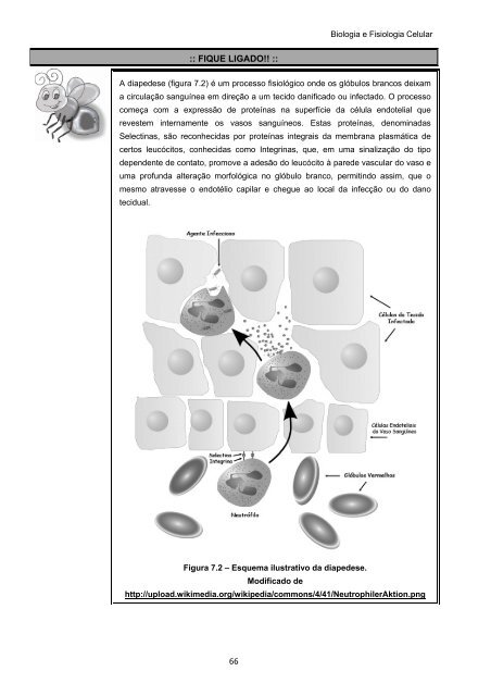 Biologia e Fisiologia Celular - UFPB Virtual - Universidade Federal ...