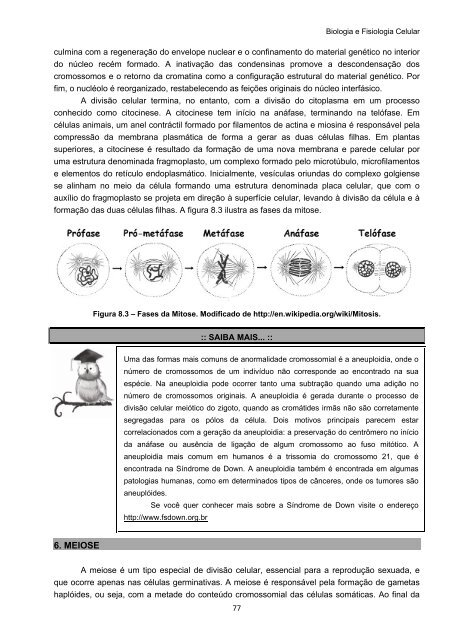 Biologia e Fisiologia Celular - UFPB Virtual - Universidade Federal ...