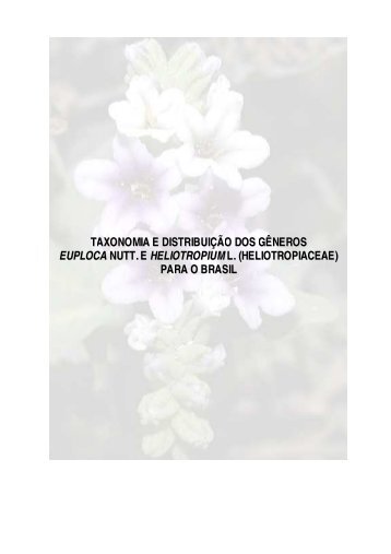 (heliotropiaceae) para o brasil - Botânica - UFRPE