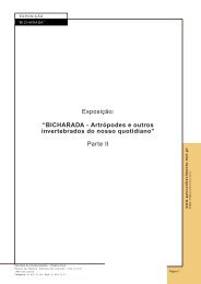 Exposição: “BICHARADA - Artrópodes e outros invertebrados do ...