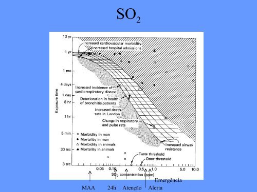 Danos da poluição atmosférica à saúde humana - Plato