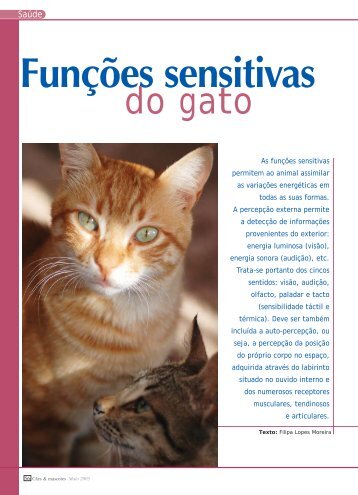 Funções sensitivas do gato(257,30 kB) - Royal Canin
