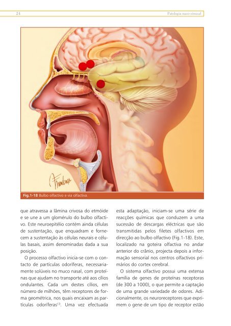 Livro Patologia Naso-sinusal.pdf - Repositório do Hospital Prof ...