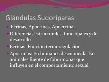 Glándulas sudoríparas apocrinas