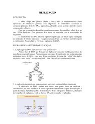 REPLICAÇÃO - Genética - ufcspa