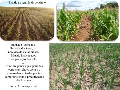 Áreas com trafego de maquinário agrícola, pisoteio do ... - UFSM