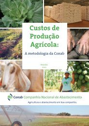 Custos de Produção Agrícola: A Metodologia da Conab