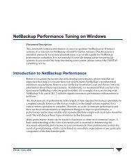 NetBackup Performance Tuning on Windows - Zedat