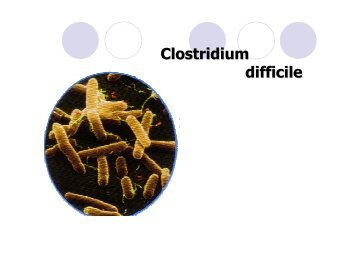 Clostridium difficile - Zollernalb Klinikum gGmbH