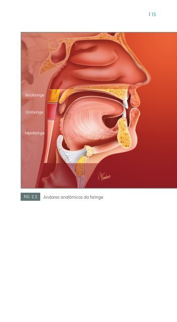 faringe e laringe - Repositório do Hospital Prof. Doutor Fernando ...